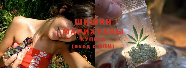 PSILOCYBIN Козельск
