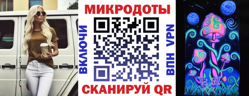 Псилоцибиновые грибы Cubensis  Североморск 